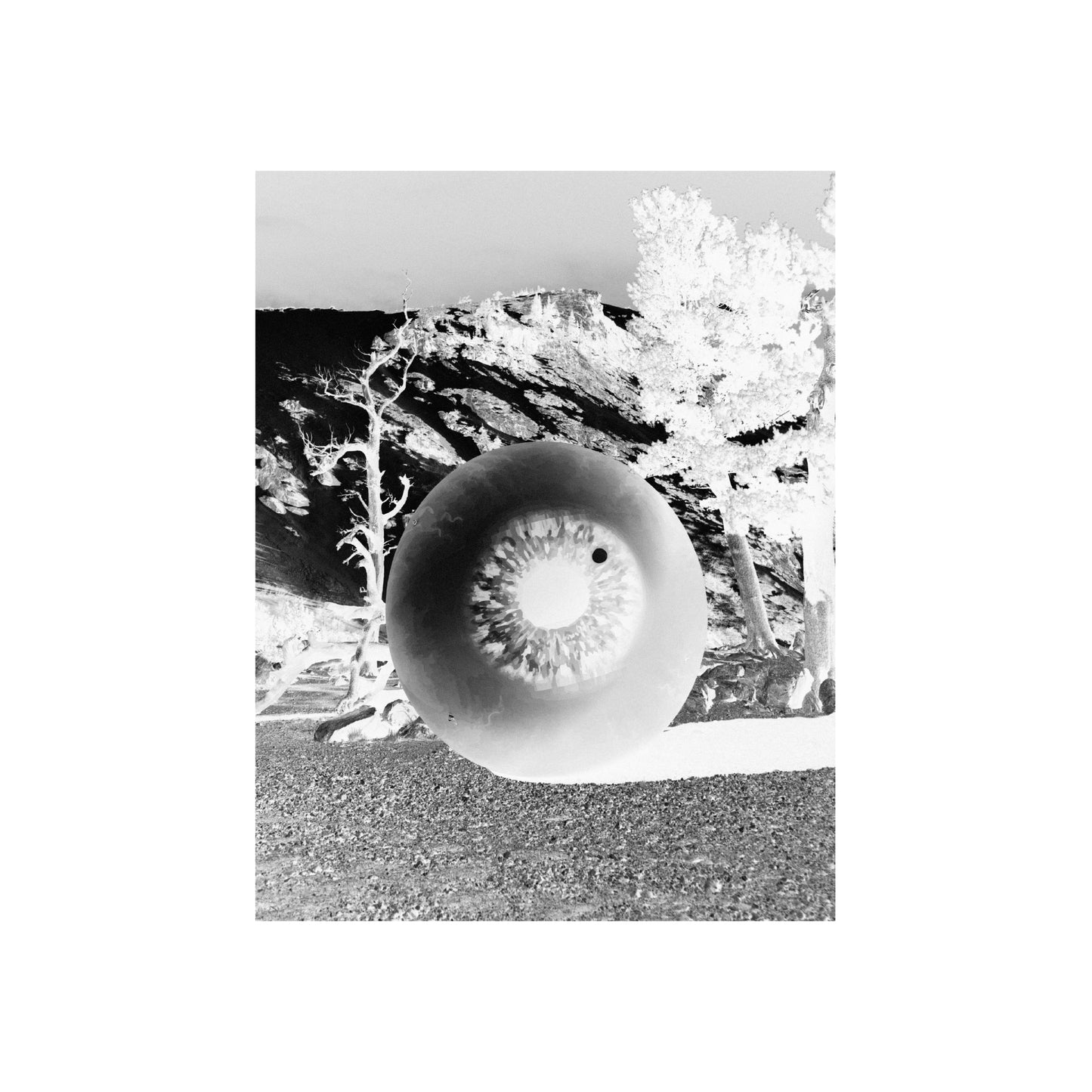 VIEWING MAG 3rd EDITION